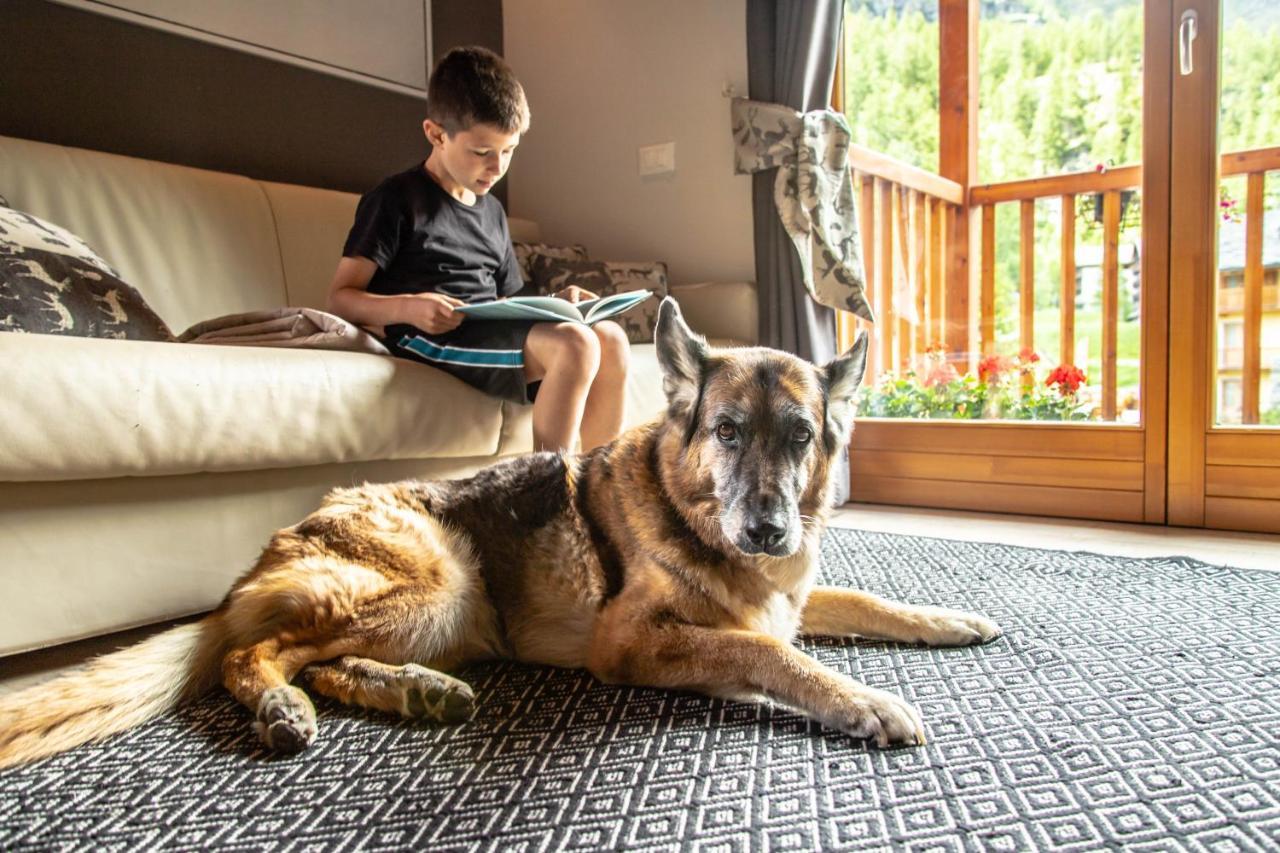 Alta Luce Mountain Lodge Грессоней-ла-Трините Экстерьер фото
